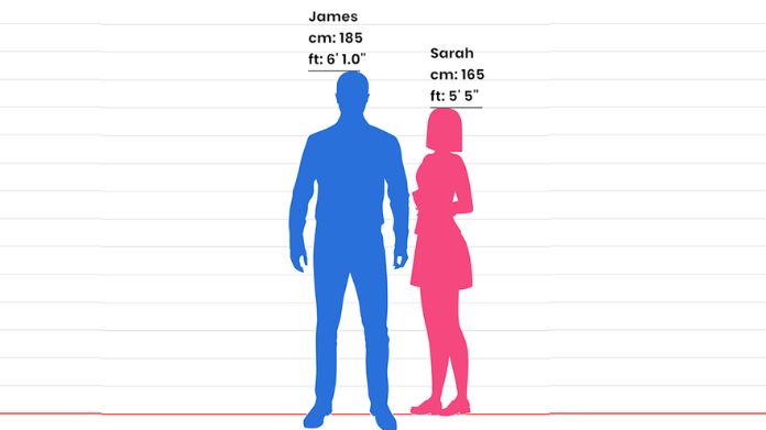 Height Comparison Comparing Heights Visually With Chart
