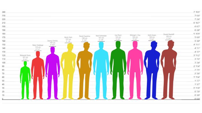 height comparison trends