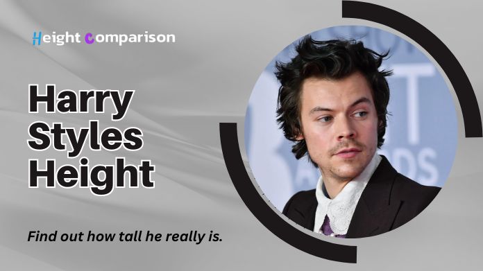 harry styles height