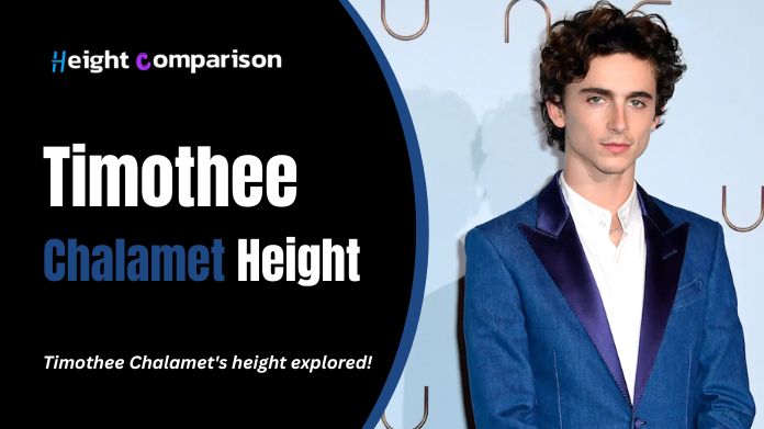 timothee chalamet height