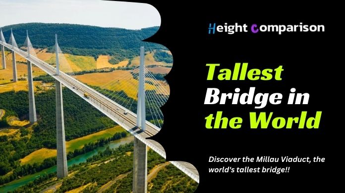 tallest bridge in the world