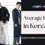 average height in korea