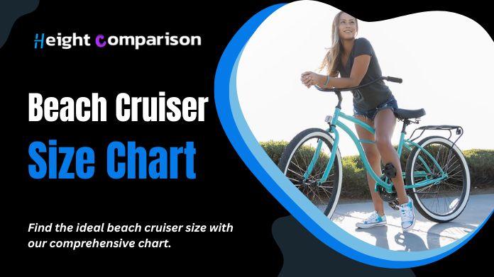 beach cruiser size chart